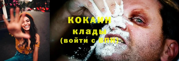 крисы Богородск